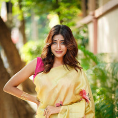 Royal Elegance of Tussar Silk